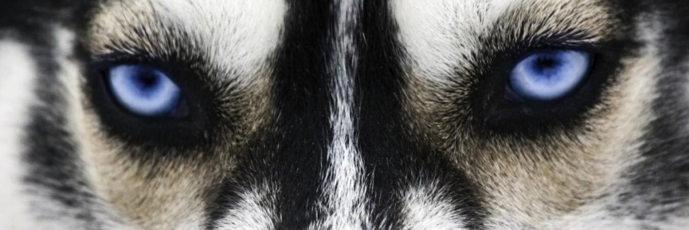 KafadaRT's profile banner image