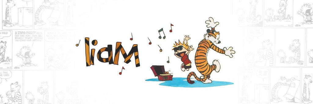 liaminsocks's profile banner image