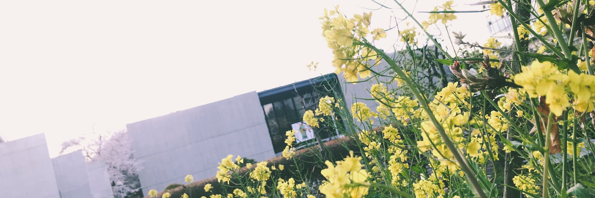 625_cl's profile banner image