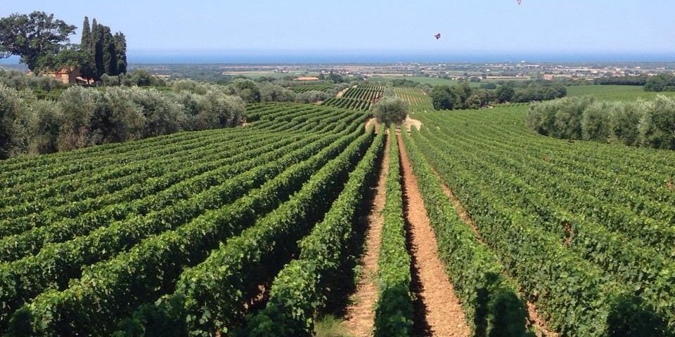 NPudel's profile banner image