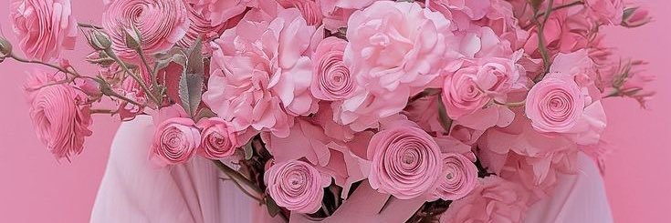 EwNovita's profile banner image
