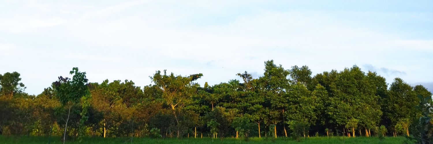 outlett31's profile banner image