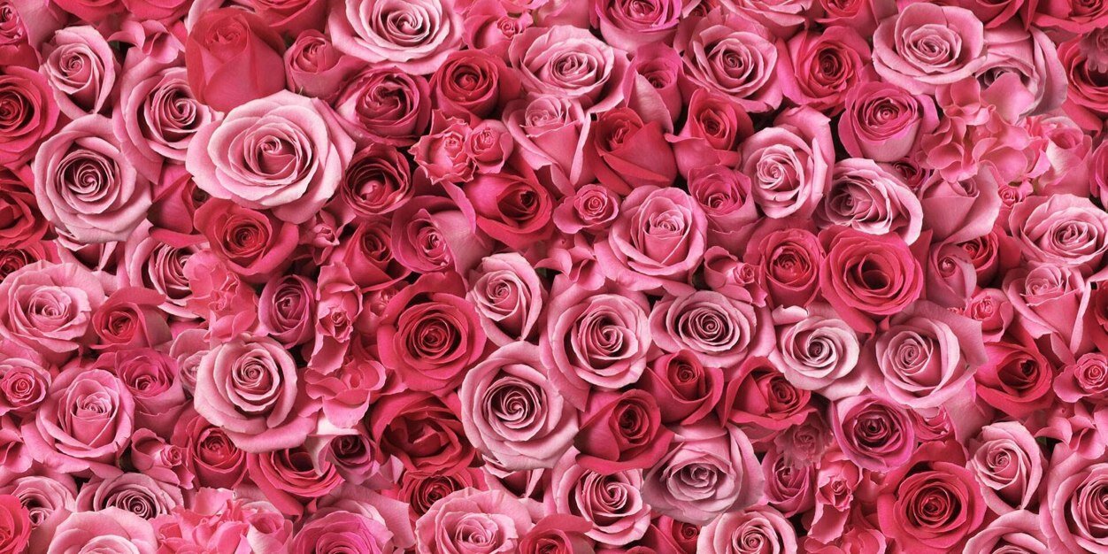 afifahdsrn's profile banner image