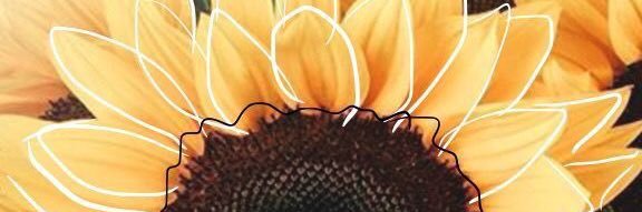 Being_TheBestMe's profile banner image