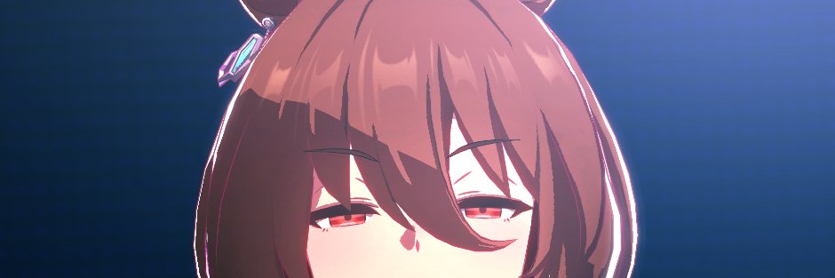 ピカsyu banner