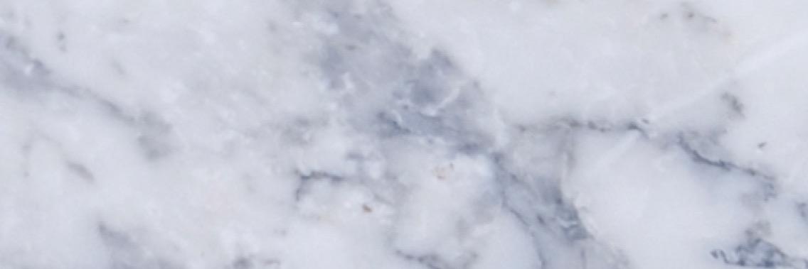 fleurbekendam's profile banner image