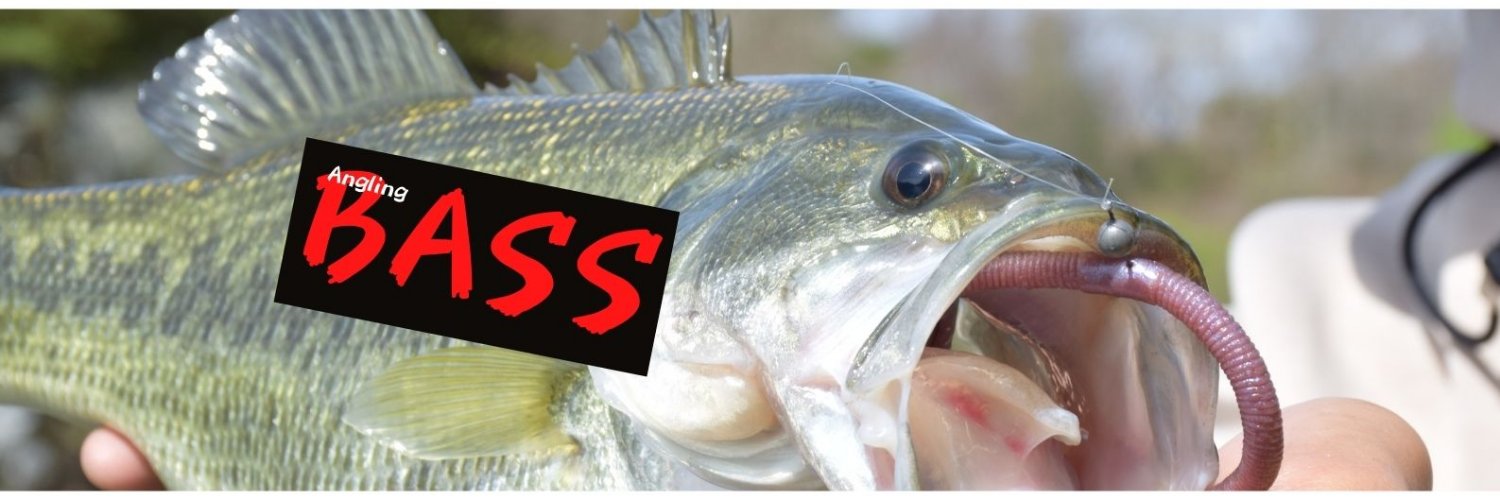 AnglingBASS's profile banner image
