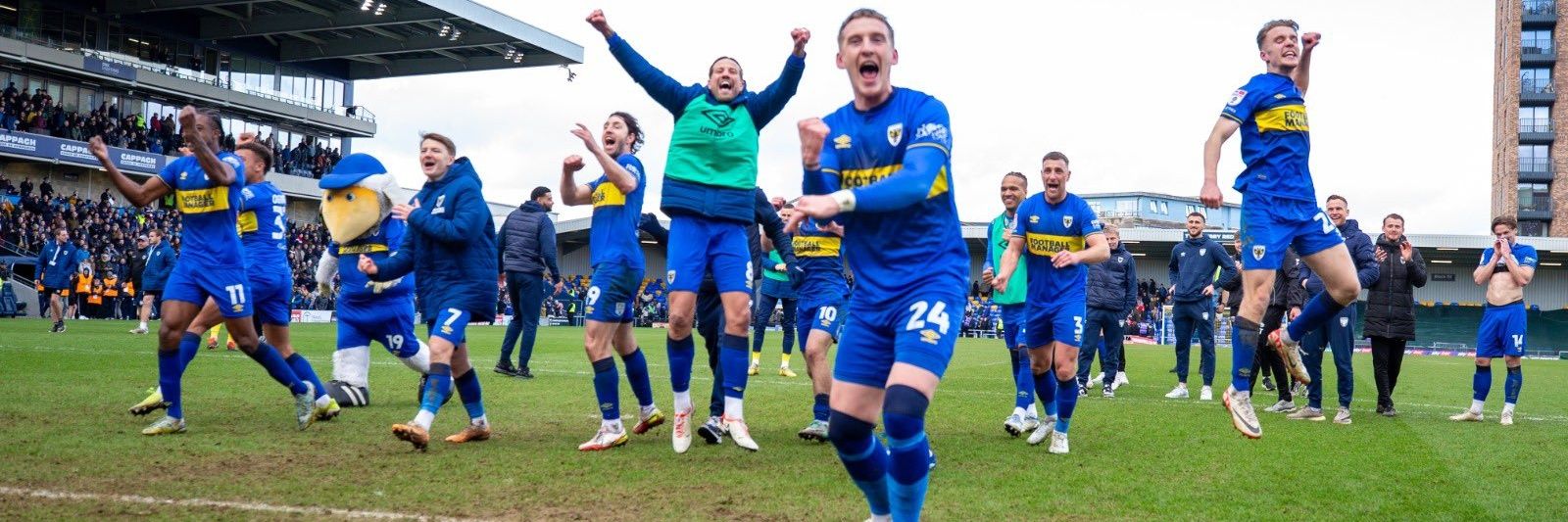 Haydon the Womble banner