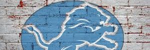 LionSinceBirth's profile banner image