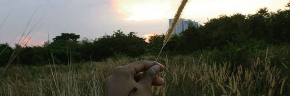 Moko_Fals's profile banner image