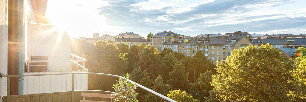 ♠️沐沐豚🏳️‍⚧️INFP banner