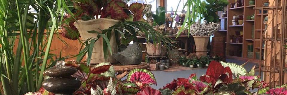 prnurseries's profile banner image