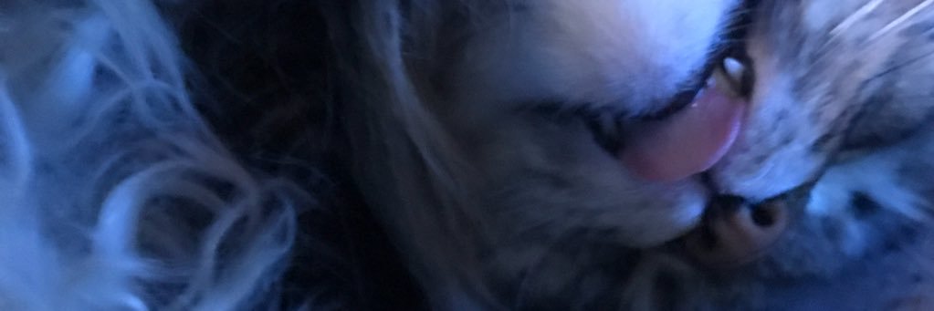 Ingekringe's profile banner image