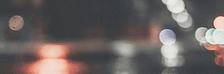 wp_dong's profile banner image