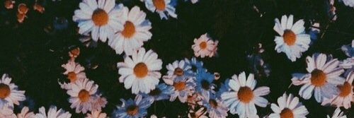 rtkpoppppp♡ banner
