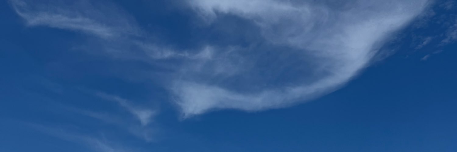 eldanicla's profile banner image