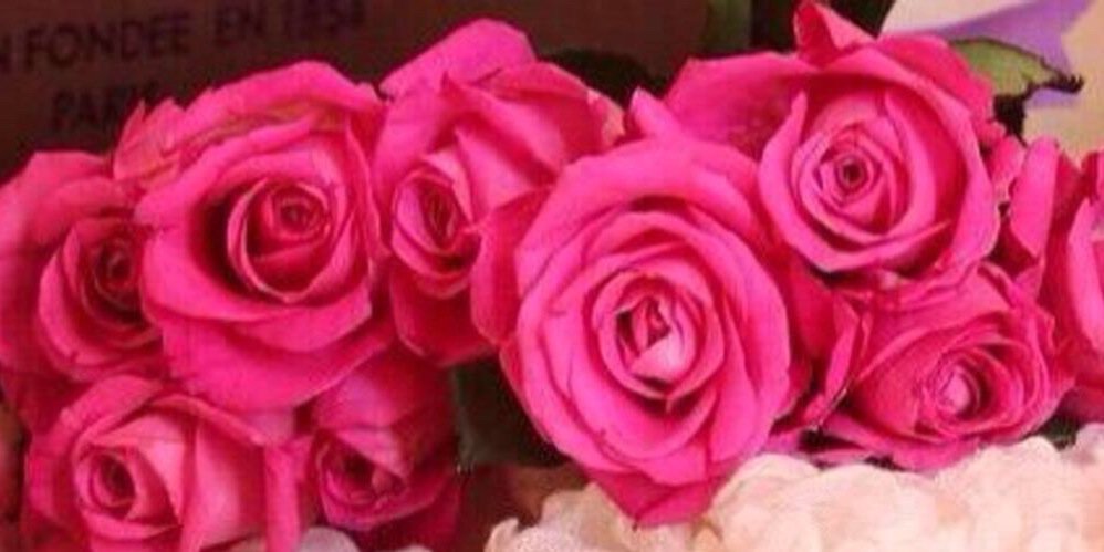 aarr336's profile banner image