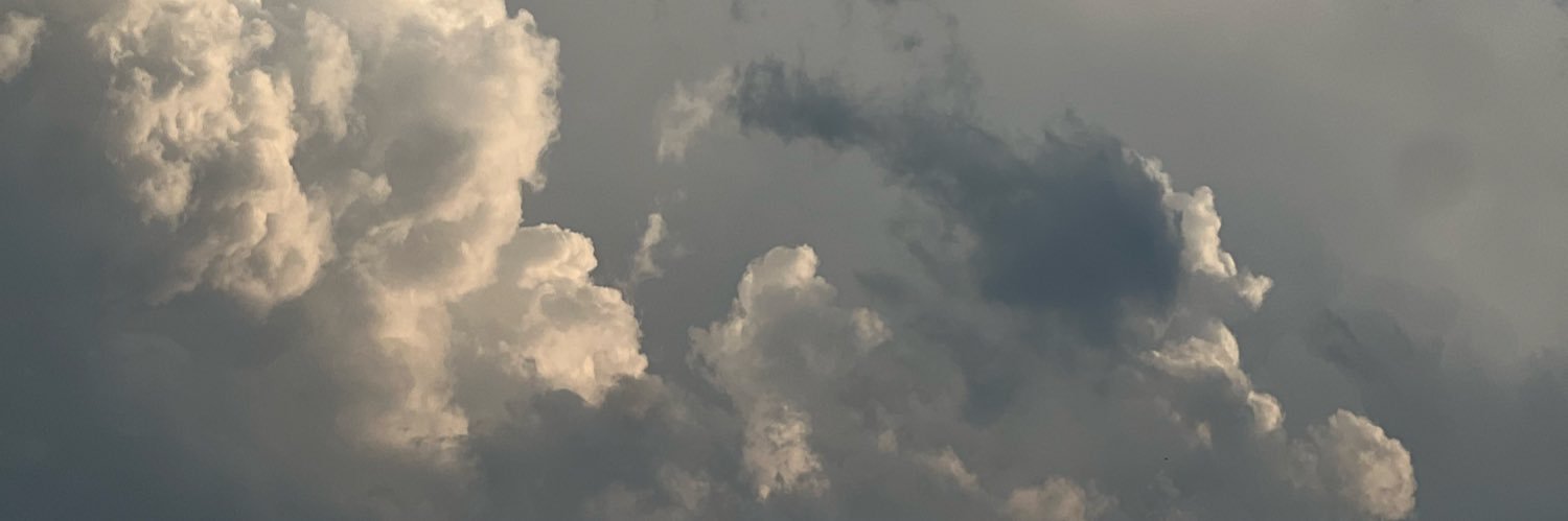 KyaLenaee's profile banner image
