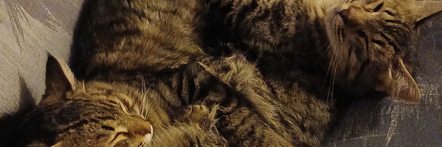 Foxfairy's profile banner image