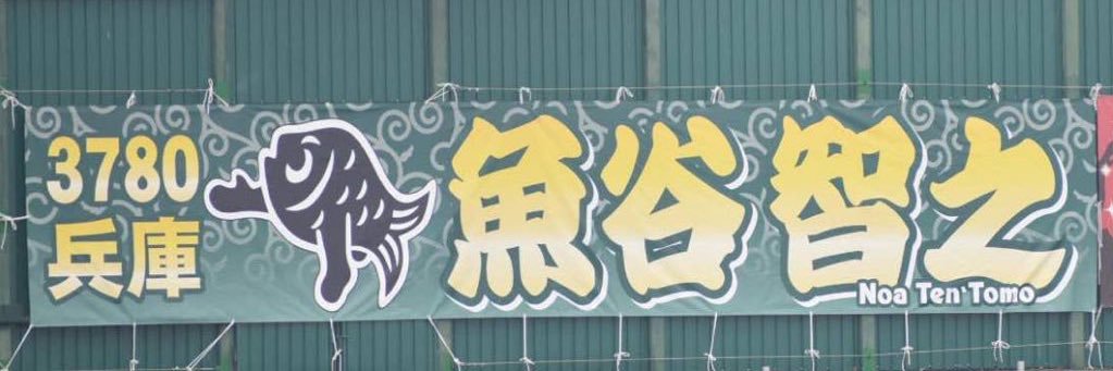 🐟 banner
