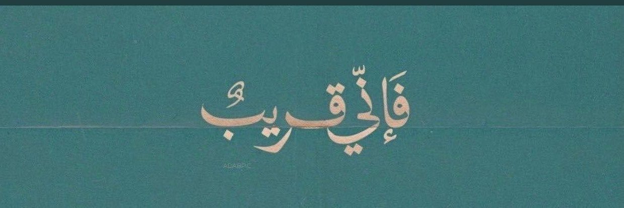 MeiMohammed4542's profile banner image