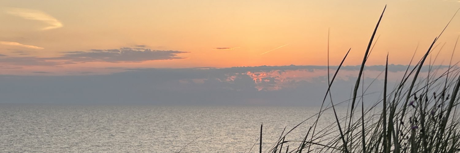 Carla Hertlein banner