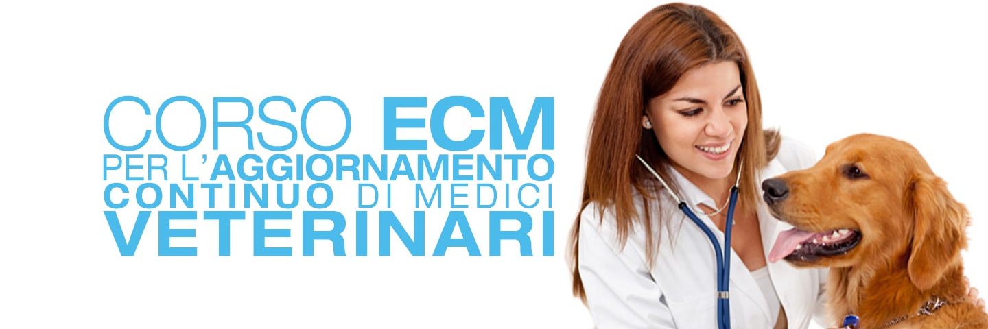 MissioneVeterinario banner