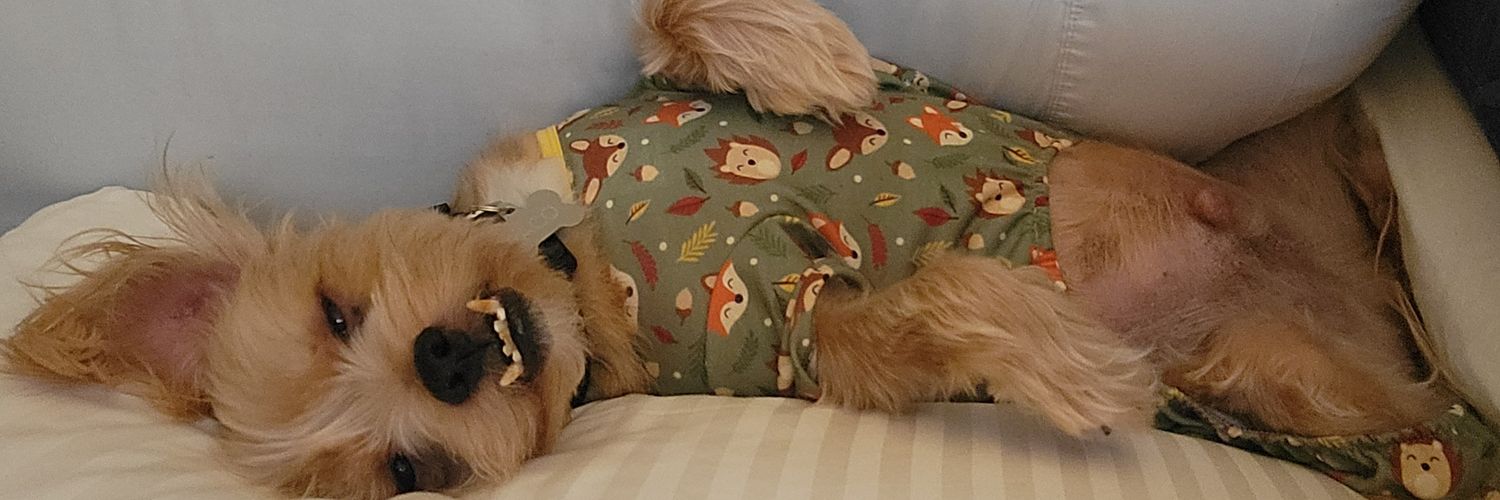 lndadew21's profile banner image