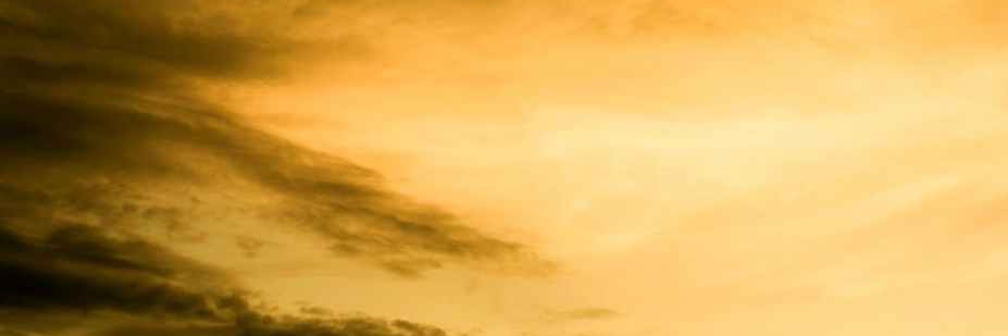 Swan11n's profile banner image