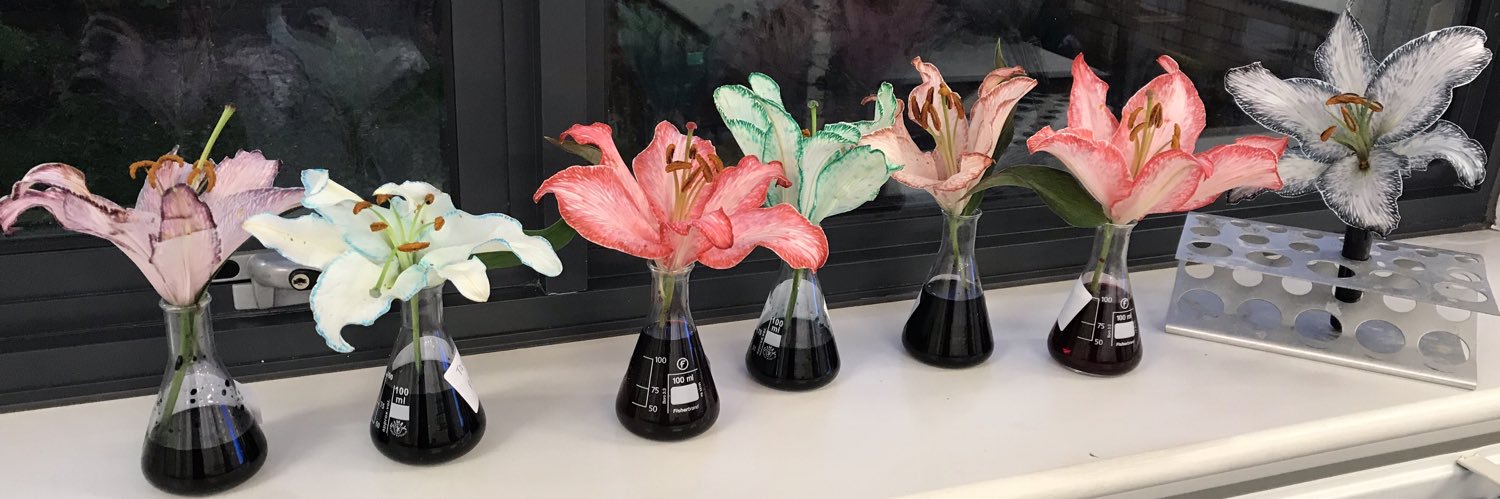 TLA Science Faculty banner