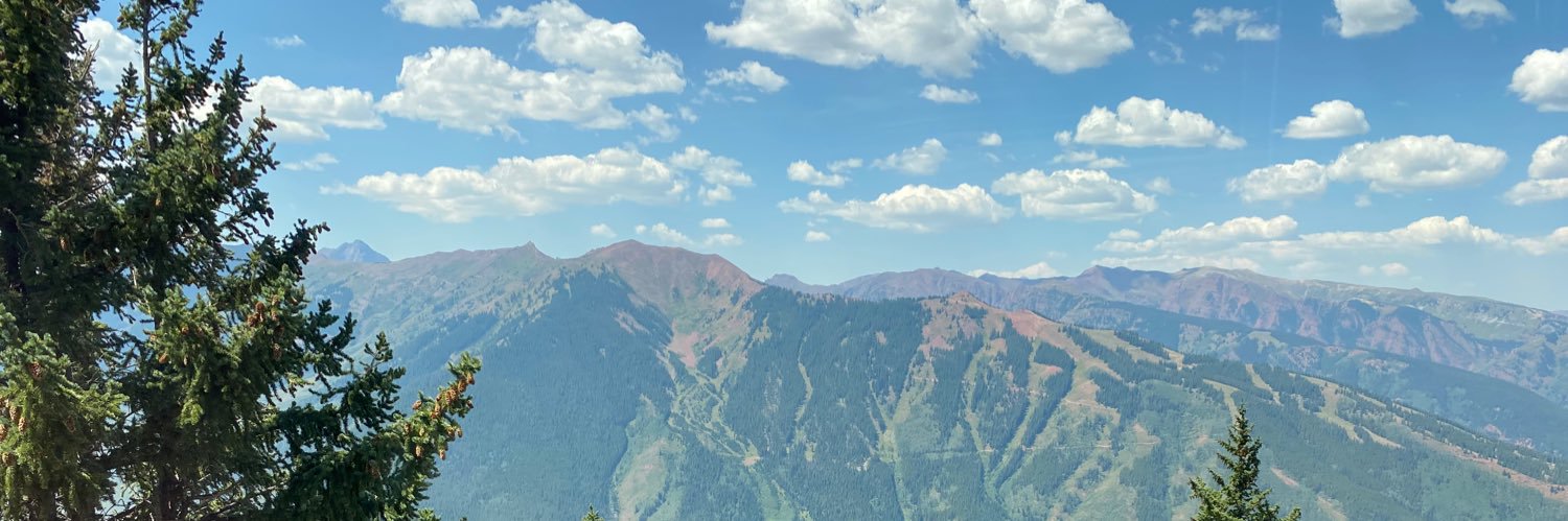 SimsBrain's profile banner image