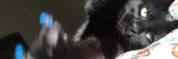 jenny180's profile banner image