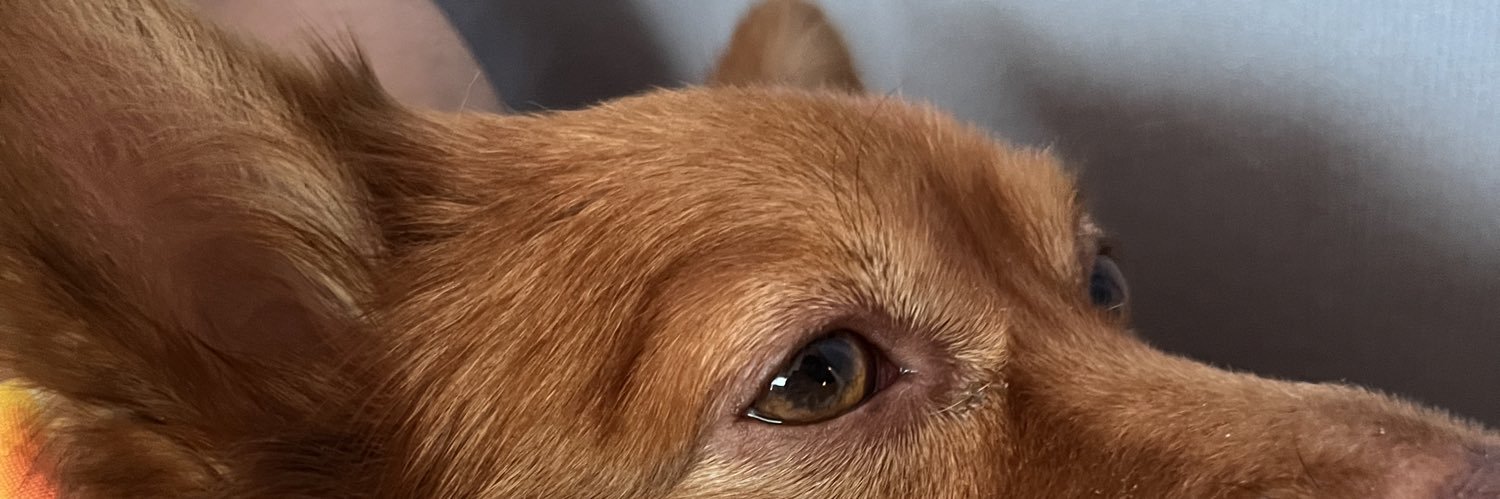 breakingbun's profile banner image