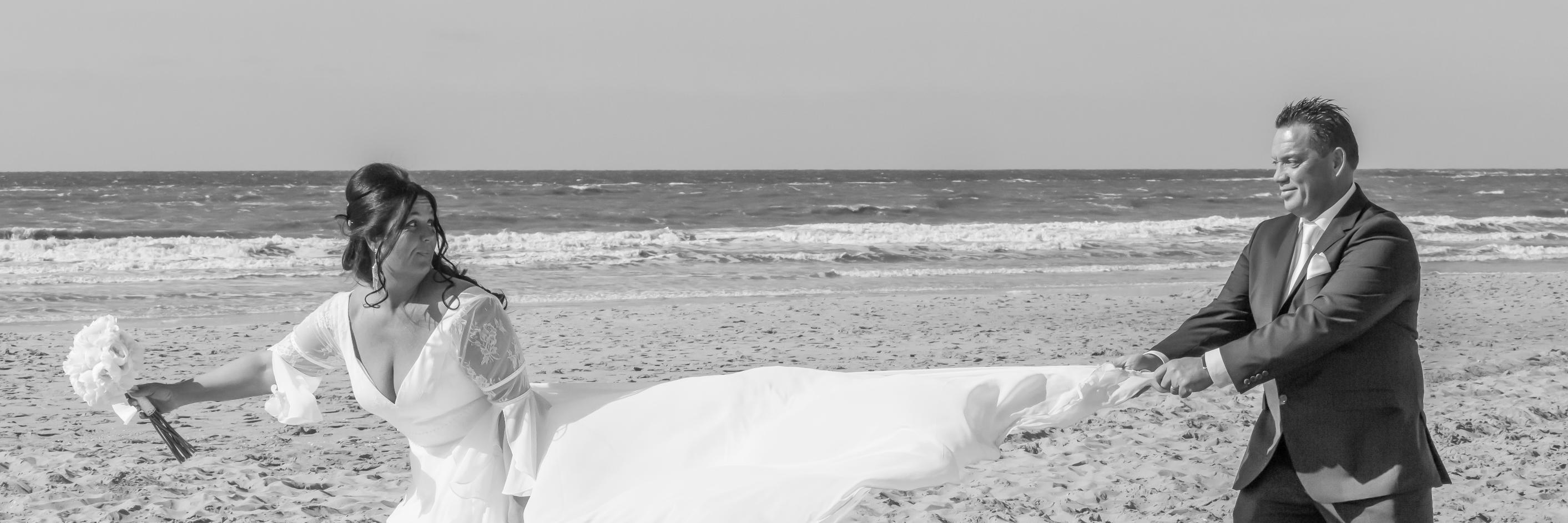 Bag_Obsession's profile banner image