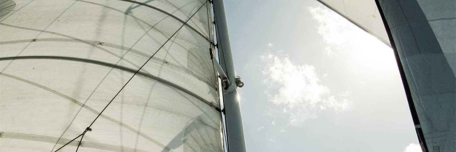 Blake Peterson ❤️ Memecoin banner