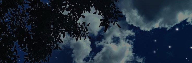 Tim_Star_Child's profile banner image