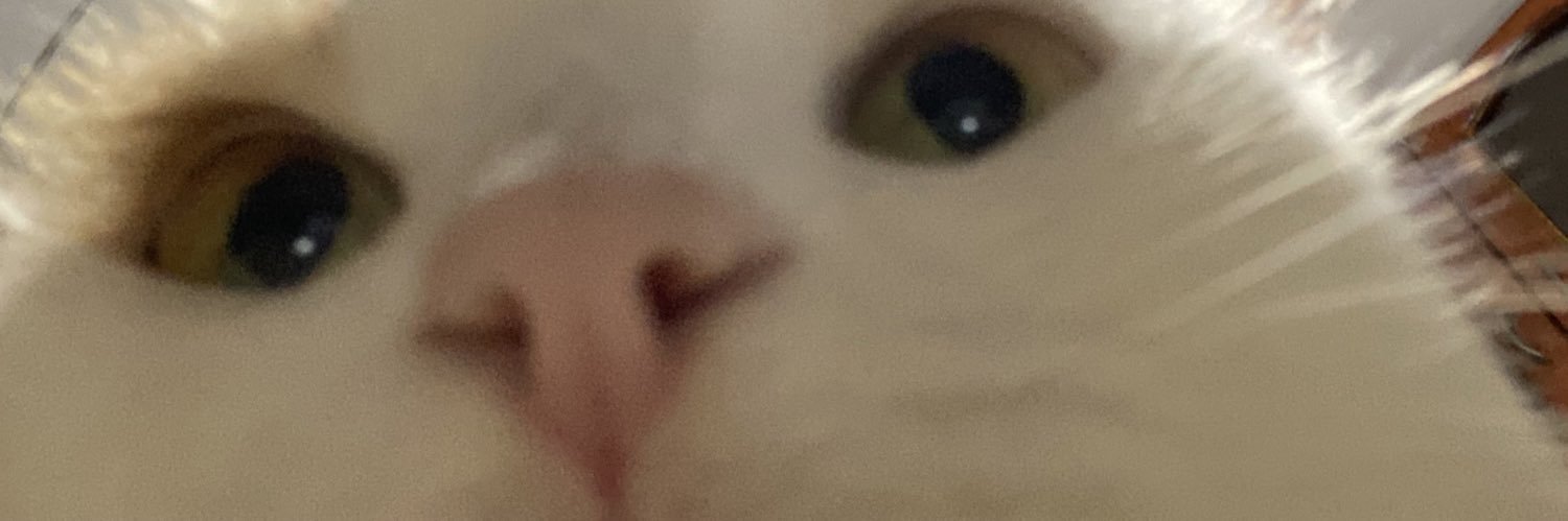 anapaulaj97's profile banner image