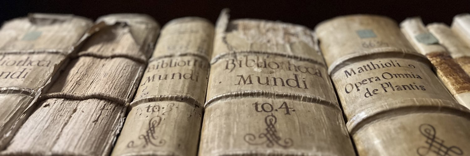 igers_fermo's profile banner image