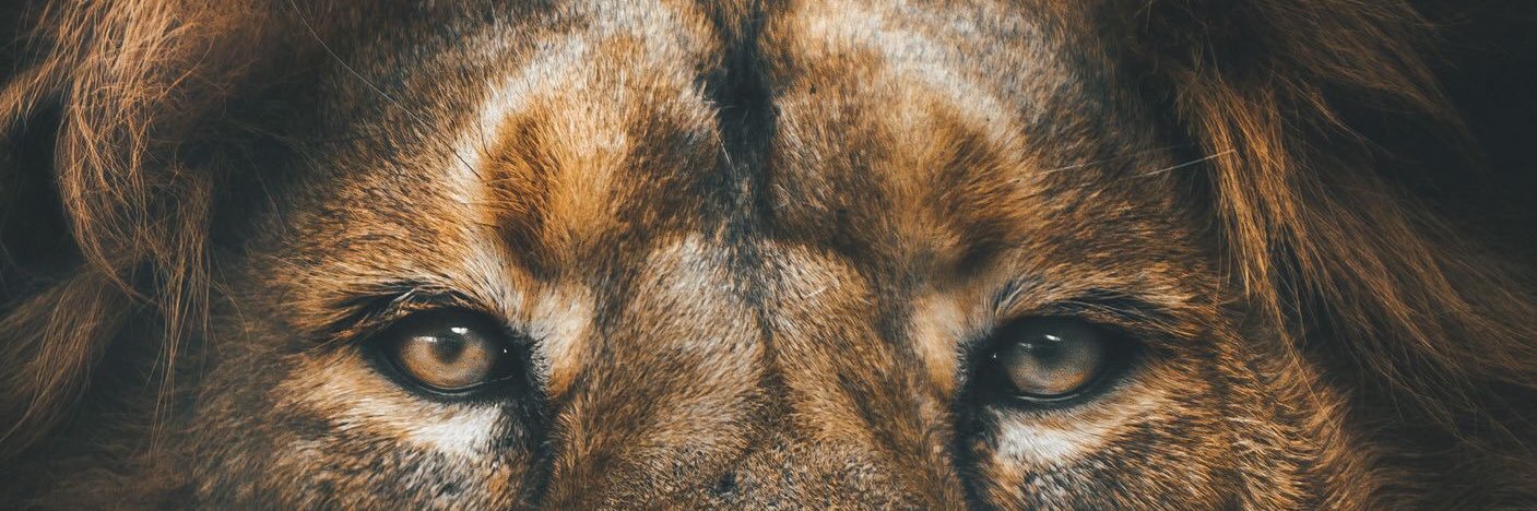 wad_65's profile banner image