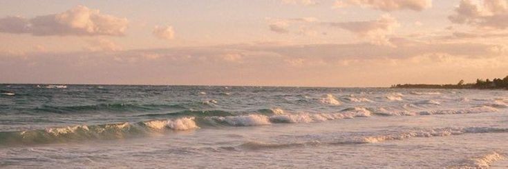chipuchapa_'s profile banner image
