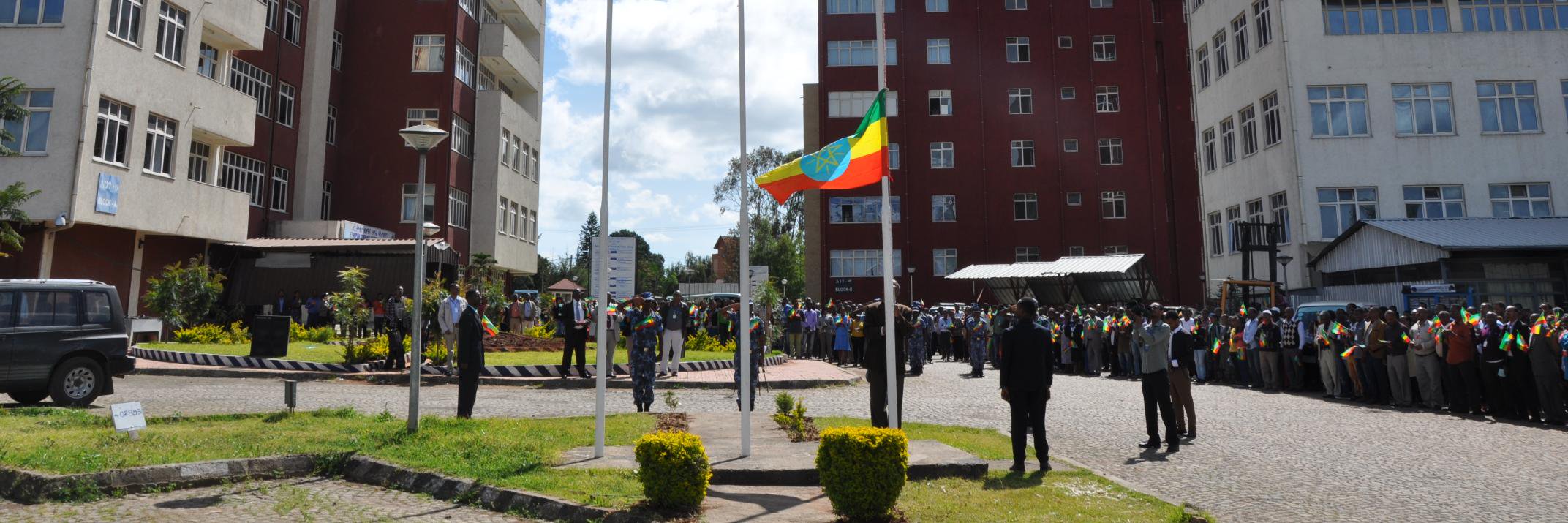 Ethiopian Ministry of Revenues - MOR (@MoR_Ethiopia) / Posts / X