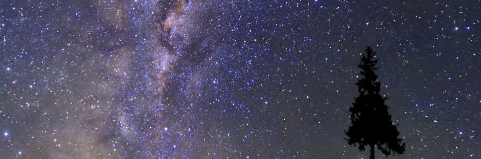w_chibi_ami_w's profile banner image