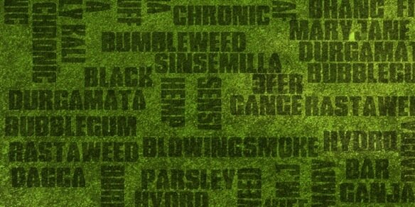 Alternaturals's profile banner image