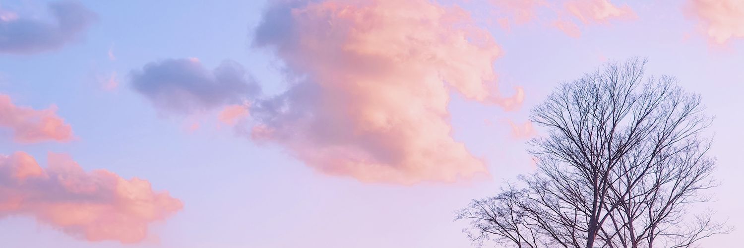 DyahRetno09's profile banner image