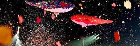 MissFenil's profile banner image