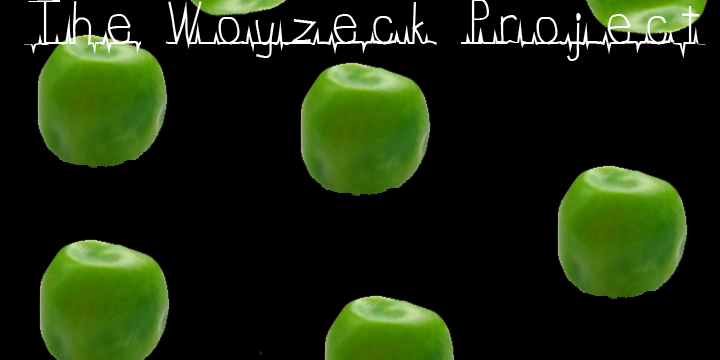 WoyzeckProject's profile banner image