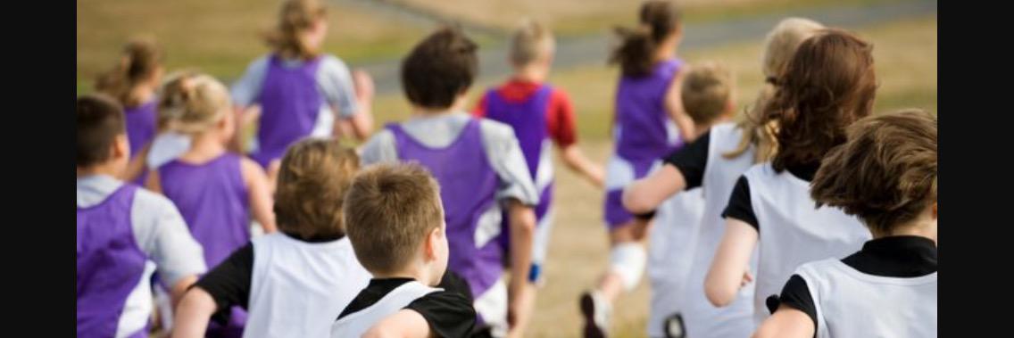 UCC Sport Studies PE banner