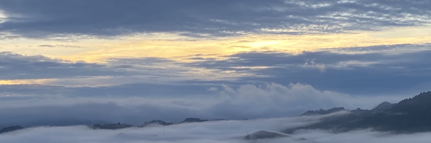 Mariajosenim's profile banner image