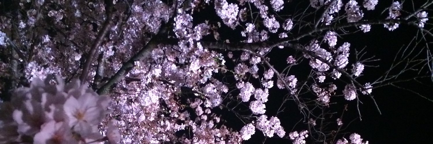 owx13's profile banner image