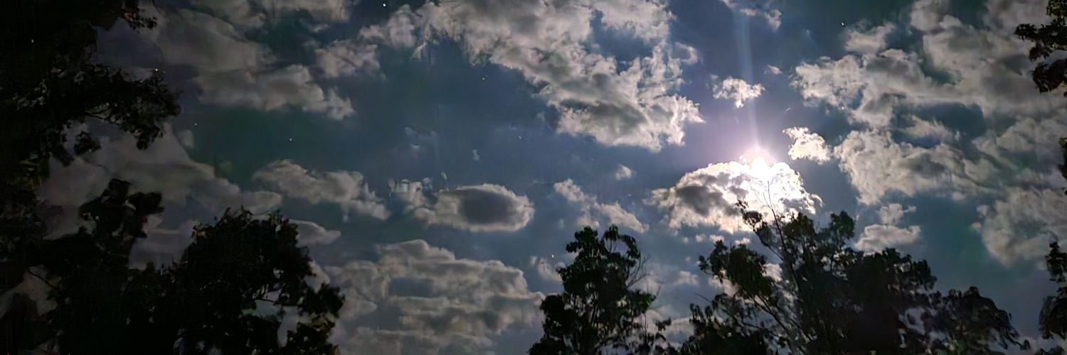 Real1stPuck's profile banner image